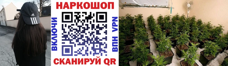 Виды наркоты Тула Alpha PVP Каннабис АМФЕТАМИН Кокаин