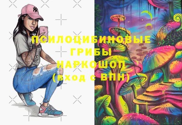 ПСИЛОЦИБИНОВЫЕ ГРИБЫ Волосово