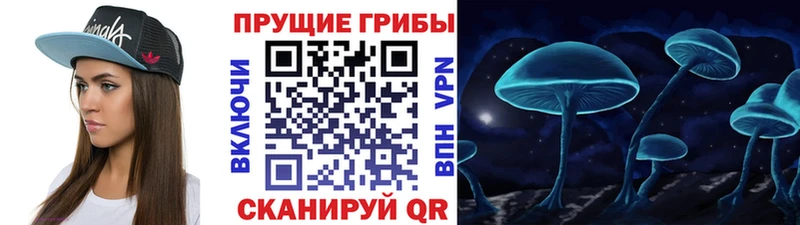 Галлюциногенные грибы прущие грибы  Тула 